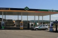 Za deset let bude alternativním palivům dominovat CNG