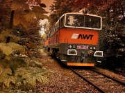 AWT získalo jako první v ČR certifikát pro dopravu potravin po železnici