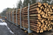 Dřevo kvůli kůrovcové kalamitě přeplňuje dopravu po železnici