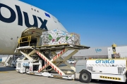 Společnost dnata zvládá vysoké teploty v Dubaji během přeprav zboží podléhajícího rychlé zkáze