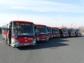 Veolia Transport Praha nasadila nové moderní autobusy