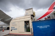 Závodní koně na palubě Emirates SkyCargo
