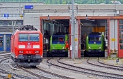 Z mezinárodních dopravních a logistických svazů – červen 2019