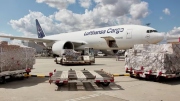 Odbory vyzvaly zaměstnance nákladní divize Lufthansy ke stávce