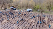 ​IVECO s projektem Plant the Future rozšiřuje zelené plochy na planetě