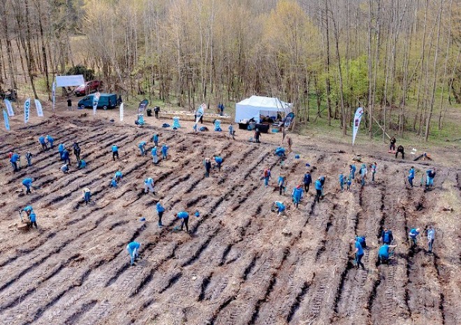 ​IVECO s projektem Plant the Future rozšiřuje zelené plochy na planetě