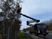 ​Na dálnici D10 probíhá kácení nebezpečných stromů