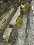 DHL představila účastníkům jednání MDF svůj centrální hub
v Lipsku/Halle